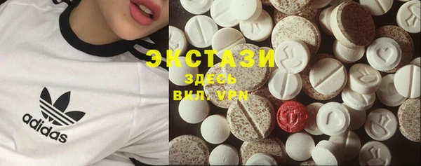 СК Вязьма