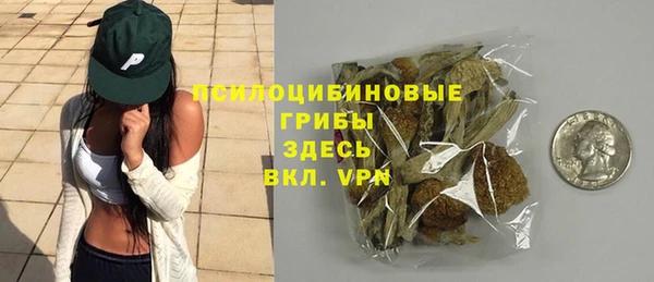 хмурый Вязники