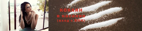 СК Вязьма