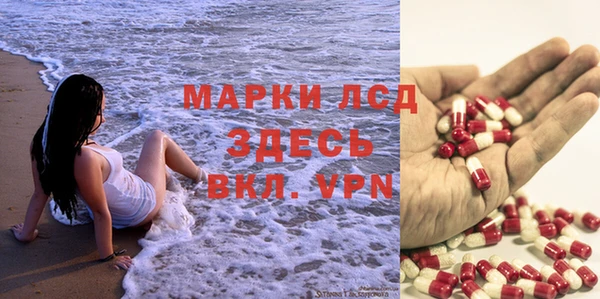 СК Вязьма