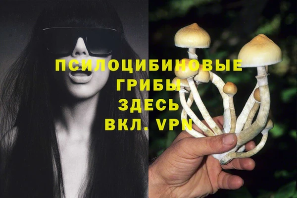 каннабис Вяземский